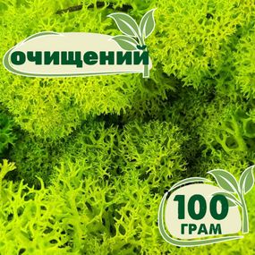 Очищений стабілізований мох ягель Зелений весняний 100 грам