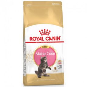 Корм Royal Canin Maine Coon Kitten сухой для котят породы мейн-кун 0.4 кг
