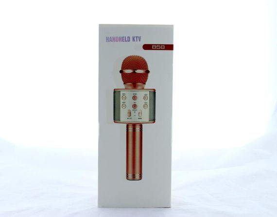 Микрофон DM Karaoke WS 858 (50)в уп. 50шт. | Зображення 1