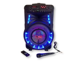 Акумуляторна акустична система XPRO SS-7373 колонка валіза 100Вт USB, SD, FM радіо, Bluetooth, мікрофон, ДК (SS-7373)