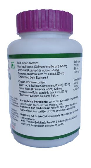 Arogya vati, 60 tab, Patanjali, Арогья вати, антимикробный, противовирусный препарат | Зображення 1