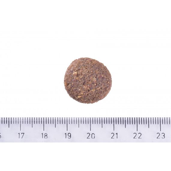 Корм сухий Brit Care Dog Hypoallergenic Adult Large Breed для собак великих порід гіпоалергенний з ягням 12 кг | Зображення 6