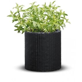 Горщик для квітів (кашпо) Keter (Кетер) Cylinder Planter L (17197837) Антрацит
