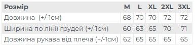 Анорак чоловічий (демісезон) Носи своє L Синій (p-16352-188542) | Зображення 5