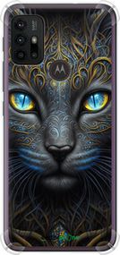 Чохол на Motorola Moto G20 Кішка "5548sp-2461-2448"