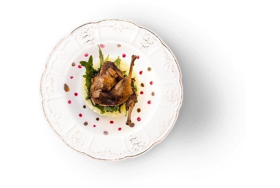 Oven-Baked Tradition Dog Quail вологий корм з перепілкою для собак будь-якого віку 354 гр | Зображення 1