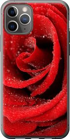 Чехол на iPhone 11 Pro Красная роза "529u-1788-17620"