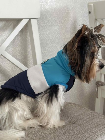 Жилетка для собак спортивна Синя (133) | Зображення 4
