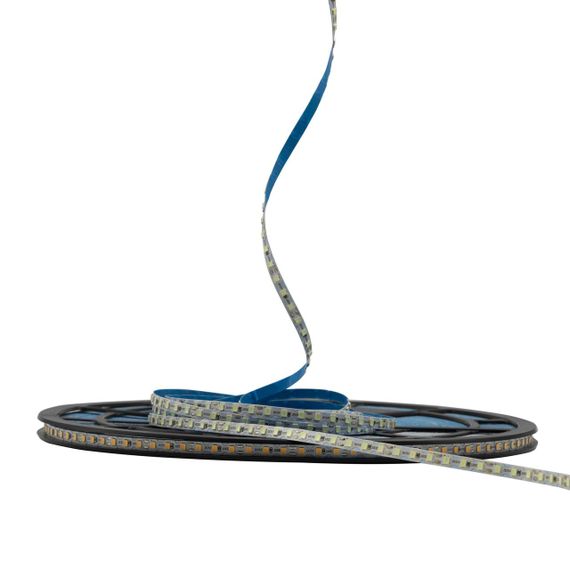 Світлодіодна LED стрічка PROLUM™ 12V IP20 2835\120 6ММ 50M S-TYPE Series "S" Блакитний Лід | Зображення 2