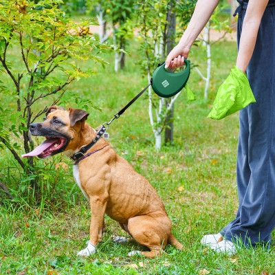 Поводок для собак WAUDOG R-leash с контейнером для пакетов L до 40 кг 5 м зеленый (262918) | Зображення 6