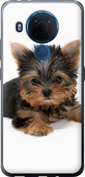 Чехол на Nokia 5.4 Щенок йоркширского терьера "931u-2279-17620"
