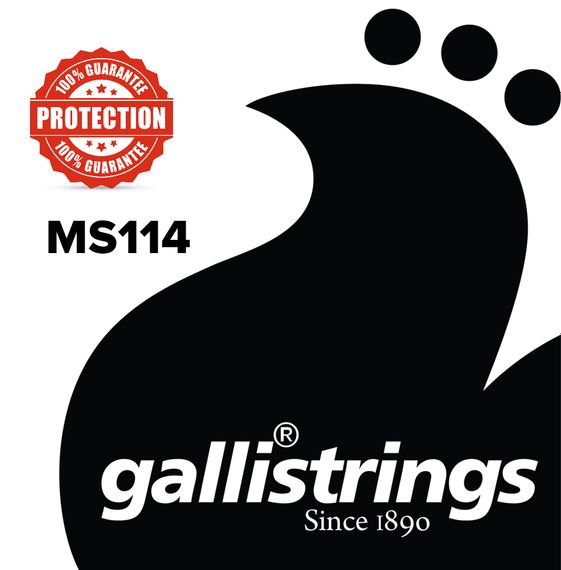 Струна для класичної гітари Gallistrings MS114 (.028), NORMAL, Copper, Silver