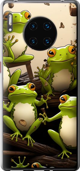 Чехол на Huawei Mate 30 Pro Жабки "5656u-1796-17620"