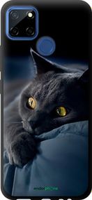 Чохол на Realme C12 Димчастий кіт "825b-2240-2448"