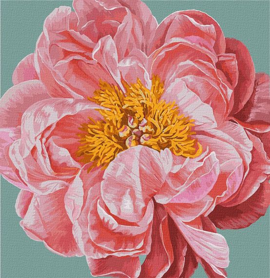 Картина по номерам  "Pink kiss" 40х40 см KHO2952