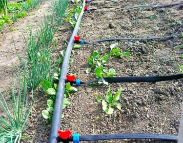 Стартовый кран зажимной для ленты капельного полива | Зображення 3