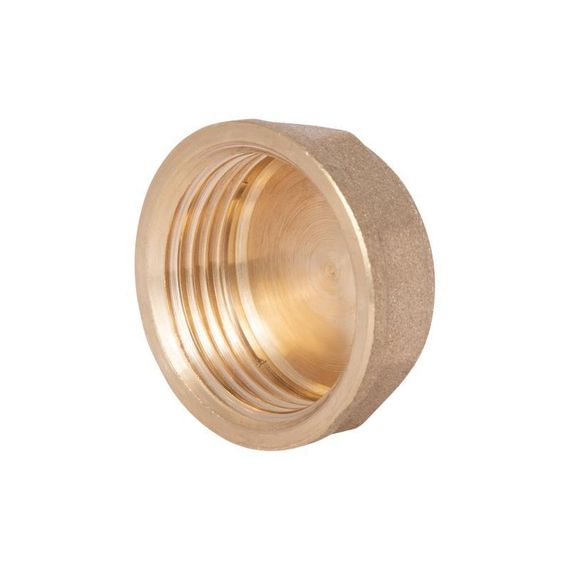 Заглушка Thermo Alliance Standart 1" ВР SD40225