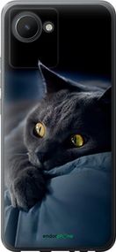 Чохол на Realme C30 Димчастий кіт "825u-2700-2448"