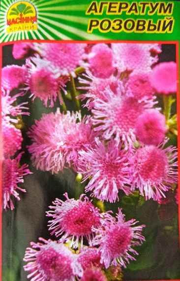 Насіння Агератум рожевий 1000 шт. (Насіння країни) | Зображення 1