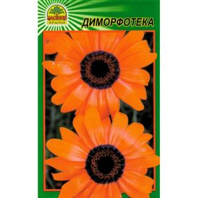 Насіння Диморфотека 0,2 г (Насіння країни)