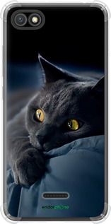 Чохол на Xiaomi Redmi 6A Димчастий кіт "825sp-1531-2448"