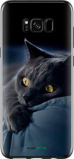 Чохол на Samsung Galaxy S8 Димчастий кіт "825u-829-2448"