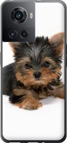 Чехол на OnePlus 10R Щенок йоркширского терьера "931u-2627-17620"