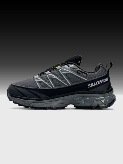 Кросівки чоловічі Salomon XT-6 Expanse Ltr GTX AGrey Black   весна / осінь A4562 46 29- 29.5 см