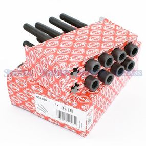 Комплект болтов ГБЦ Audi A4/A6/A8 / VW Passat 2.5 TDI 97-, Elring, 008.860,