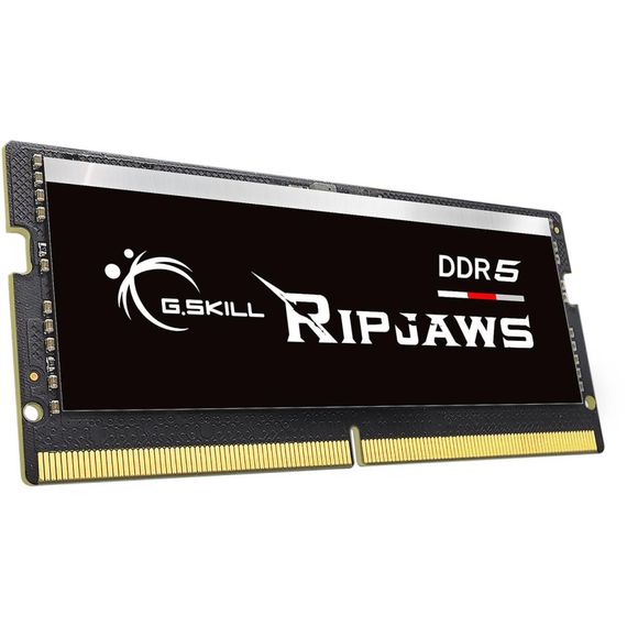 Модуль пам'яті для ноутбука SoDIMM DDR5 16GB 4800 MHz Ripjaws G.Skill (F5-4800S4039A16GX1-RS) | Зображення 2