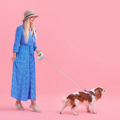 Поводок для собак WAUDOG R-leash светоотражающая лента XS-M до 40 кг 2.9 м салатовый (81275) | Зображення 1