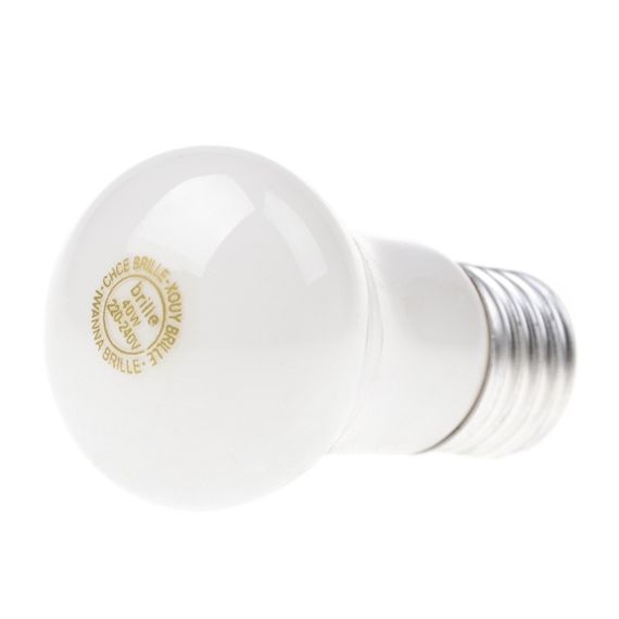 Лампа розжарювання декоративна 40W E27 WW E50 220V