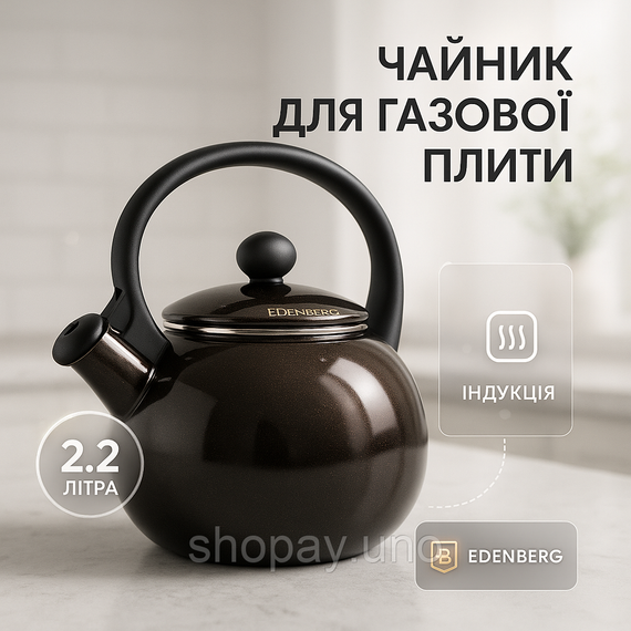 Чайник газовый нержавейка Edenberg, Чайник нержавейка со свистком бытовой Кухонный газовый LD-99