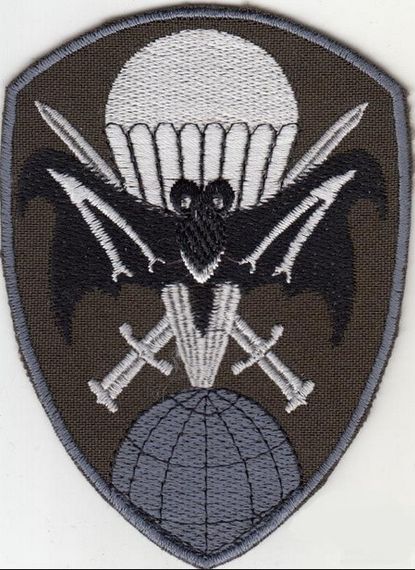 Шеврон 50 ЦСП