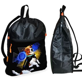 Рюкзак-мішок для взуття, спортивної форми Пес Патрон дитяча сумка для змінки з розширювачем (01355)