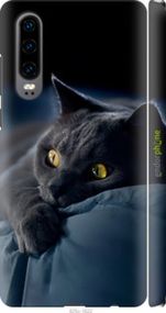 Чохол на Huawei P30 Димчастий кіт "825m-1622-2448"
