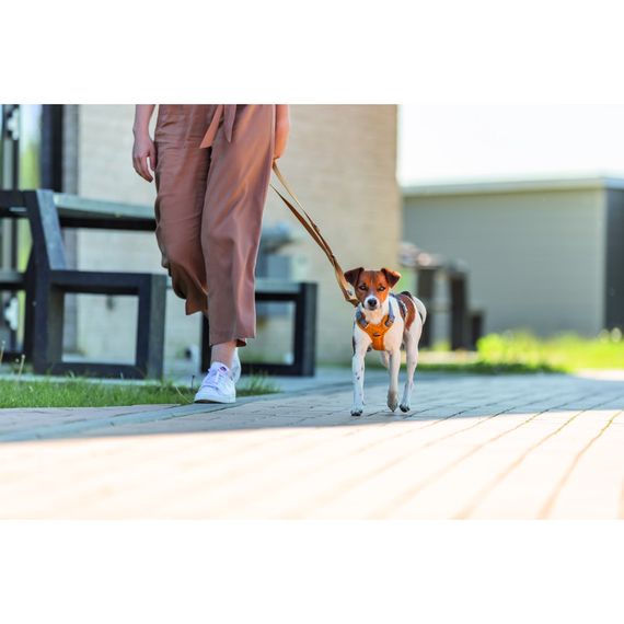 Повідок Trixie Premium для собак регульований XS–S 2 м 15 мм оранжевий | Зображення 2