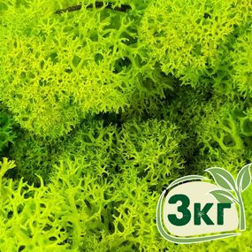Стабілізований мох ягель Зелений весняний 3 кг