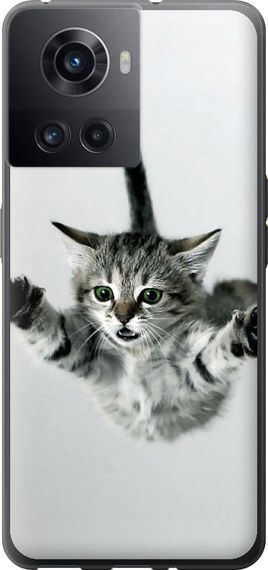 Чехол на OnePlus Ace Летящий котёнок "2322u-2953-17620"