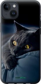 Чохол на iPhone 14 Plus Димчастий кіт "825u-2645-2448"