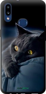 Чохол на Samsung Galaxy A10s A107F Димчастий кіт "825b-1776-2448"