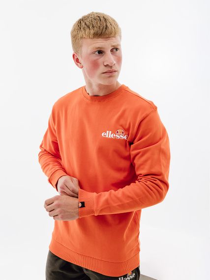 Світшот Ellesse Fierro