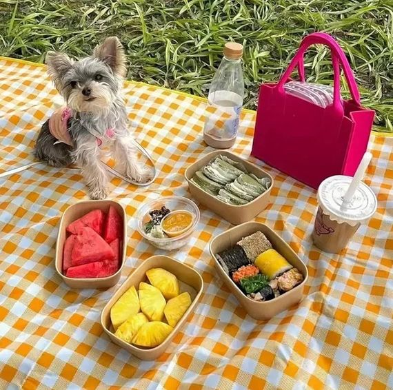 Килимок складний для пікніка Falcon 200х200 / Покривало-сумка для пляжу / Плед для розкладного пікніка / Пляжна водонепроникна підстилка Жовтий | Зображення 5