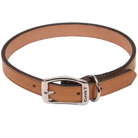 Нашийник шкіряний Coastal Circle-T Leather Town, 60 см, бежевий