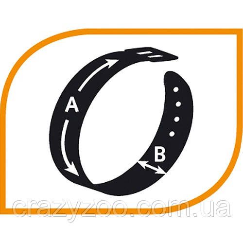 Ошейник для собак Ferplast Sport Dog С20/43 нейлоновый голубой 2х33-43 см 78003925 | Зображення 5