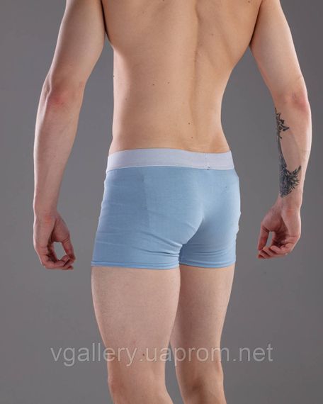 Чоловічі труси CK Steel, чоловічі боксерки СК колекція - Преміум, модні чоловічі турси СК | Зображення 2