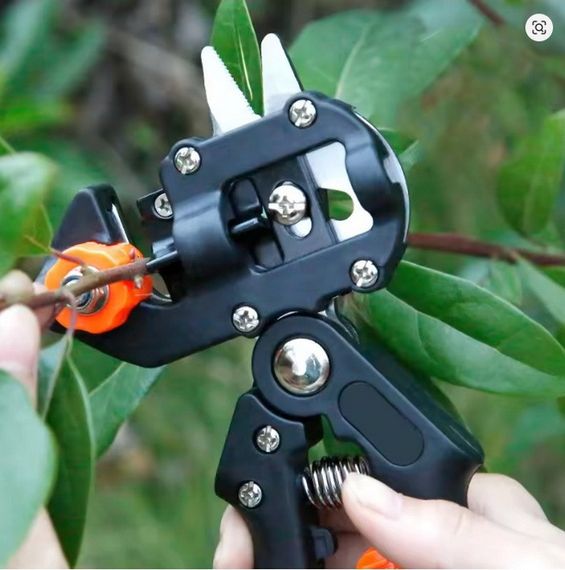 Секатор для щеплення дерев з трьома лезами | Зображення 3