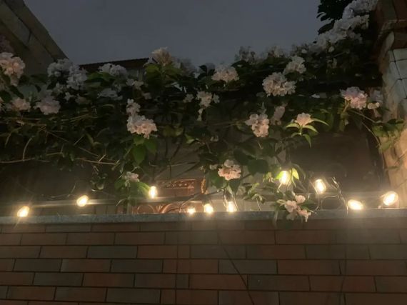 Декоративная гирлянда с солнечной панелью Ретро лампа SFK-13 Водонепроницаемые светодиодные лампы-гирлянда | Зображення 4