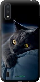 Чохол на Samsung Galaxy A01 A015F Димчастий кіт "825b-1842-2448"