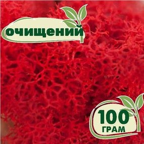 Очищений стабілізований мох ягель Червоний 100 грам